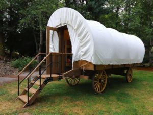 conestoga wagon at snooze n fly farm montana